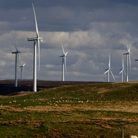 Scotland recovers from storm as row blows up over turbine (Reuters)