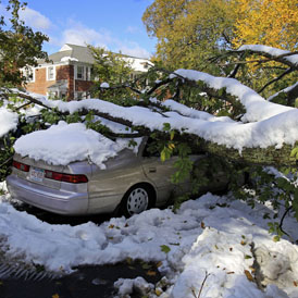 A tree collapsed onto cars in Massachusetts following unseasonal heavy snow (Reuters)