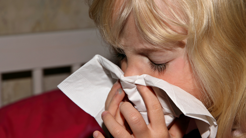 Flu season under way - in time for Christmas (G)
