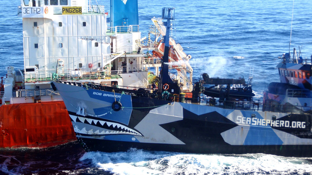 Sea Shepherd ships collide with Japanese whaling fleet (R)