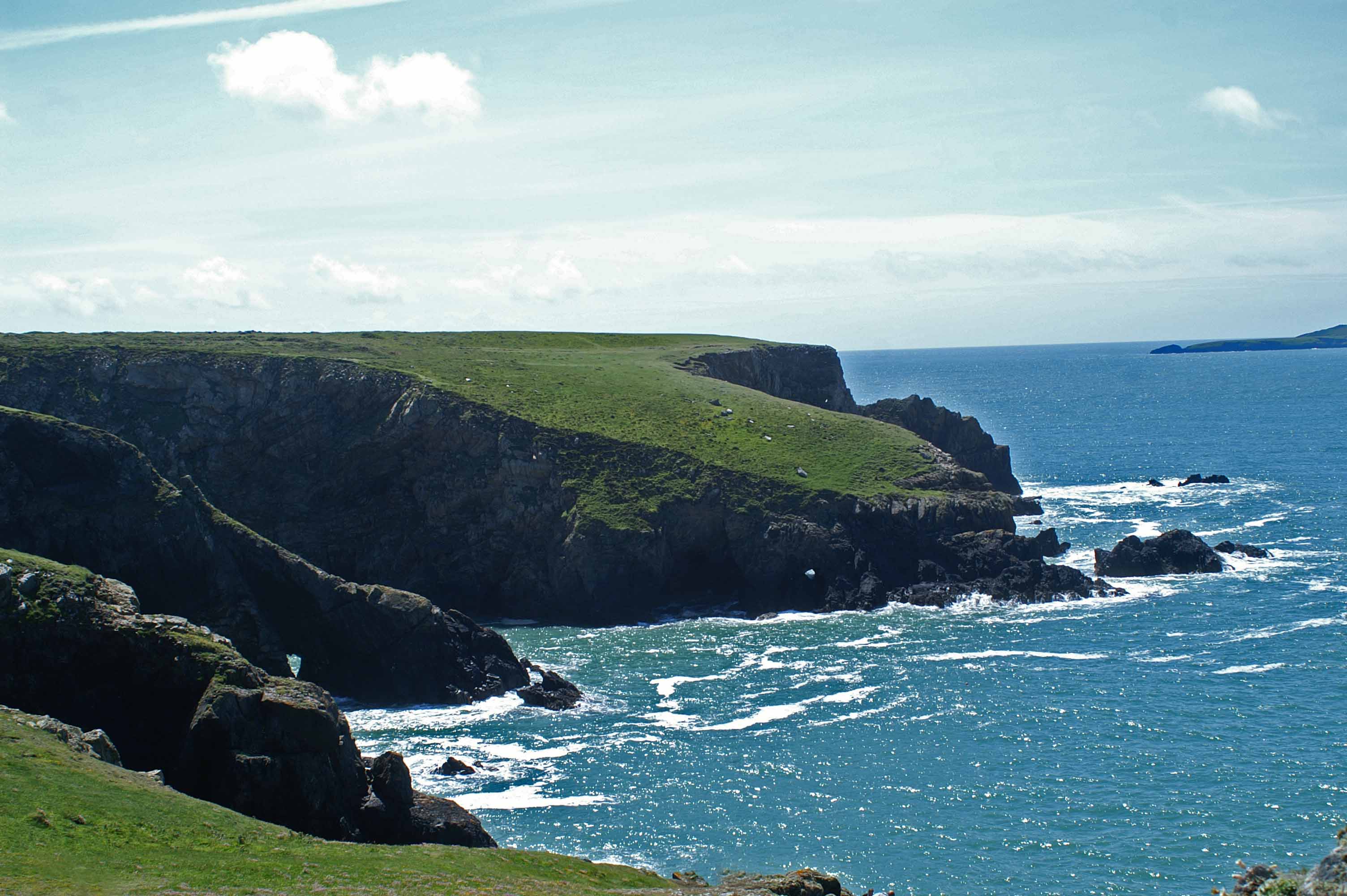 Skomer Island (pic: Getty)