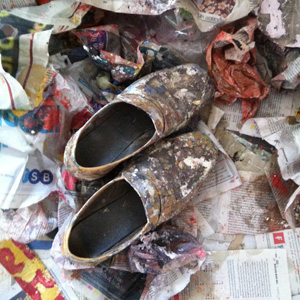 Aero Girl: Rose Wylie's painting shoes. 