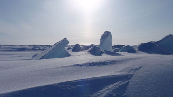 Arctic ice glistens in the sun