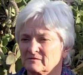 Arizona shooting: hero 61-year-old Patricia Maisch.