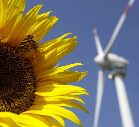 Solar and wind power. (Reuters)